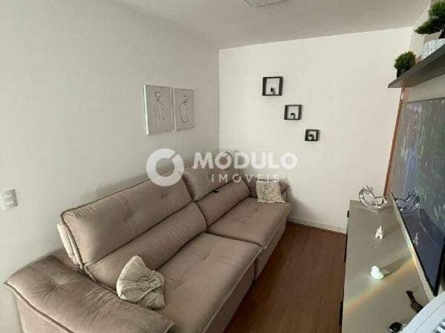 Apartamento venda em Setor Sul, Uberlândia