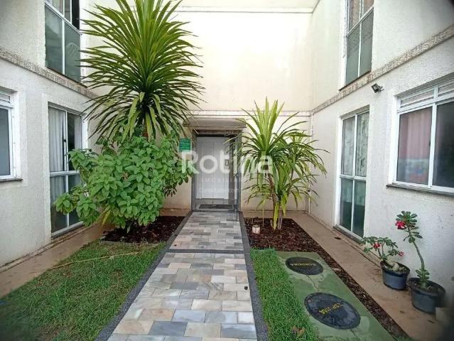 Apartamento venda em Região Geográfica Imediata de Uberlândia, Oliveira Fortes