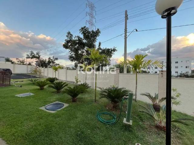 Apartamento venda em Região Geográfica Imediata de Uberlândia, Oliveira Fortes