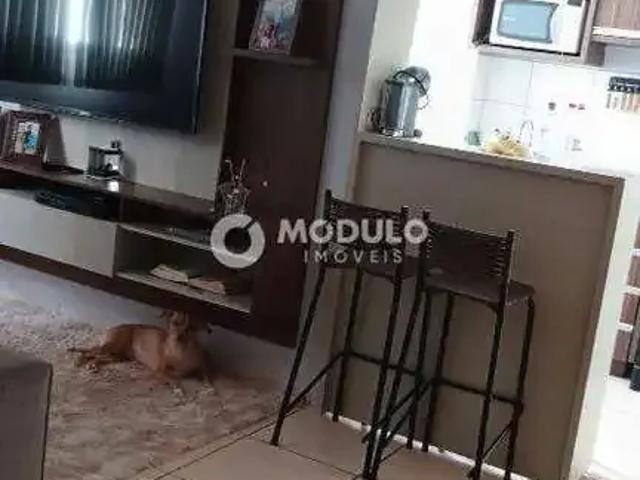 Apartamento venda em Região Geográfica Imediata de Uberlândia, Oliveira Fortes