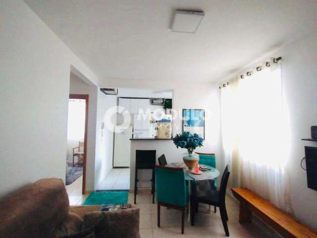 Apartamento venda em Setor Sul, Uberlândia