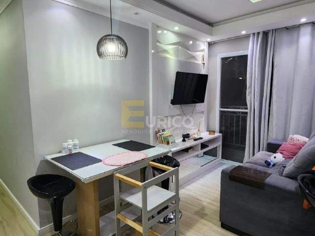 Apartamento venda em Jardim das Figueiras, Valinhos