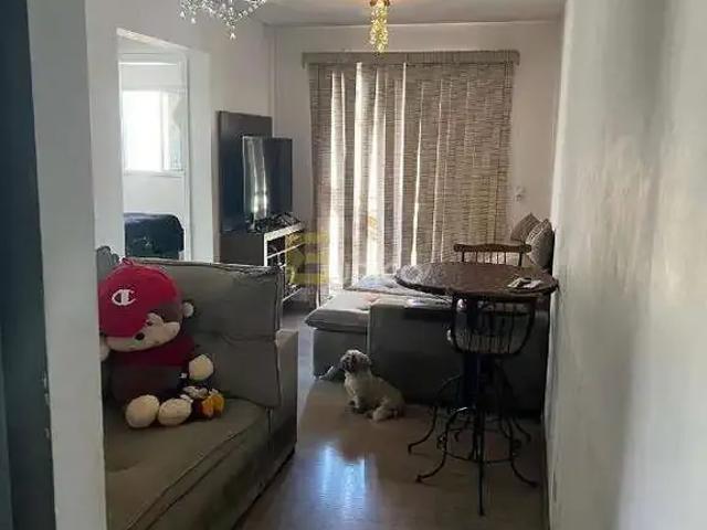 Apartamento venda em Região Imediata de Campinas, Região Metropolitana de Campinas