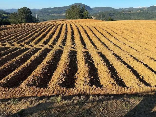 Apartamento venda em Vidal Ramos, Região Sul