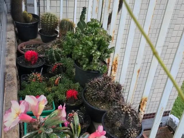 Apartamento venda em Região Geográfica Imediata de Vitória, Região Metropolitana da Grande Vitória