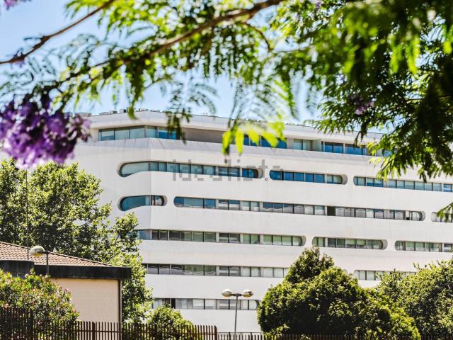 Apartamento alugar em Porto