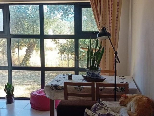 Apartamento venda em Palmela, Setúbal