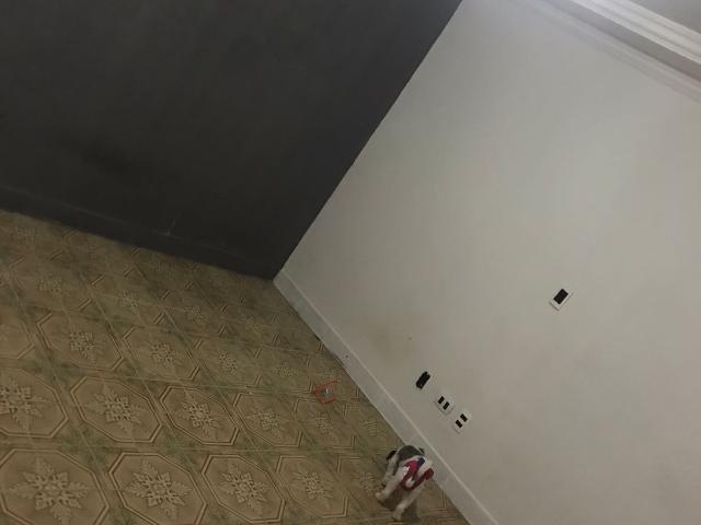 Apartamento aluguel em Curado IV, Jaboatão dos Guararapes