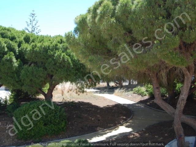 Apartamento venda em Vale Centianes, Carvoeiro