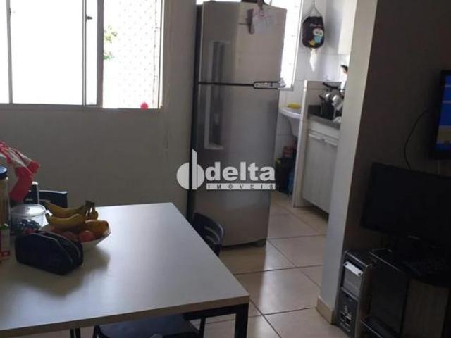 Apartamento venda em Região Geográfica Imediata de Uberlândia, Oliveira Fortes
