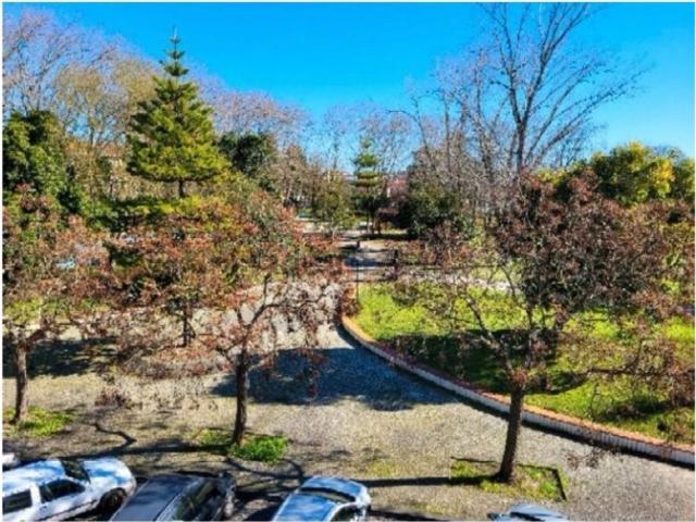 Apartamento alugar em Entroncamento, São João Baptista