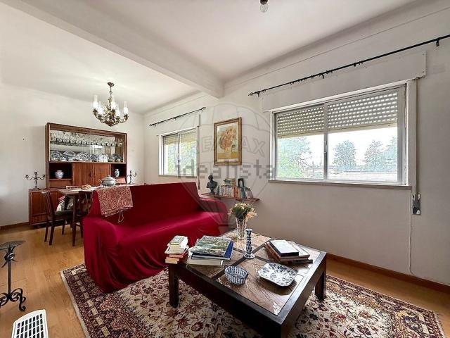 Apartamento venda em Entroncamento, São João Baptista