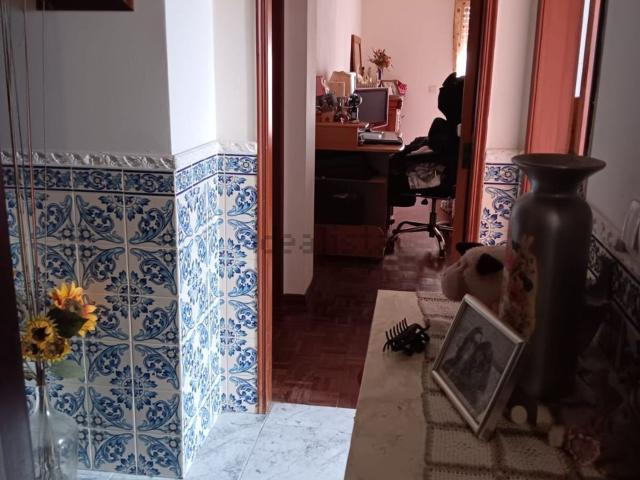 Apartamento venda em Entroncamento, São João Baptista