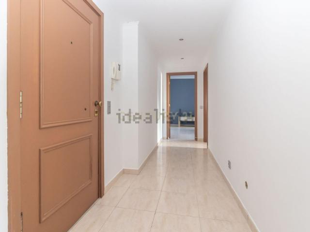 Apartamento venda em Vale de Cobro, Setúbal