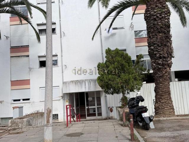 Apartamento venda em Peixe Frito, Setúbal