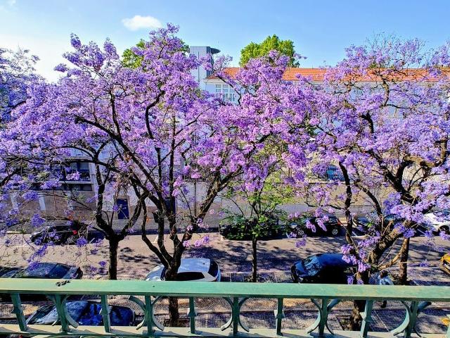 Apartamento venda em Lisboa