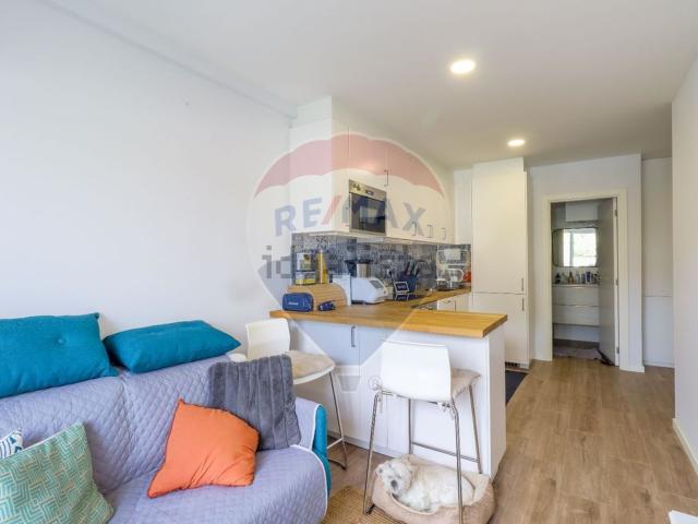 Apartamento venda em Porto, Cedofeita