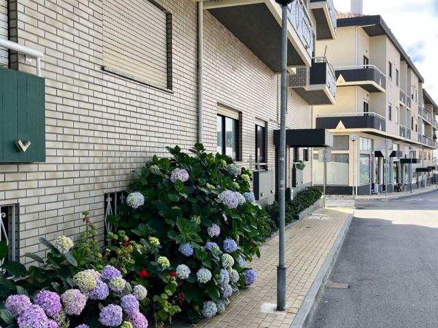 Apartamento alugar em Cabo Luís, Aveiro