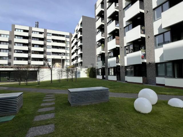 Apartamento venda em Santo António Dos Olivais, Quinta da Portela