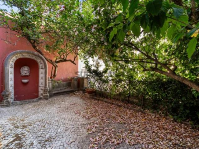 Armazém venda em Estrela, Lisboa