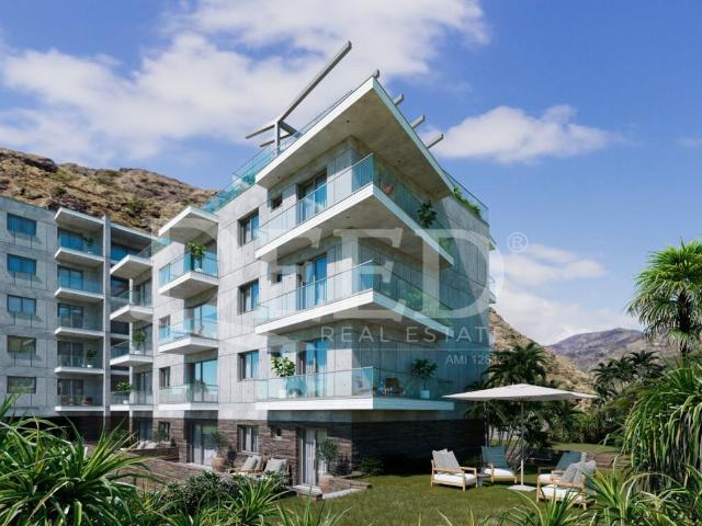 Apartamento venda em Pico da Cruz, Ribeira Brava