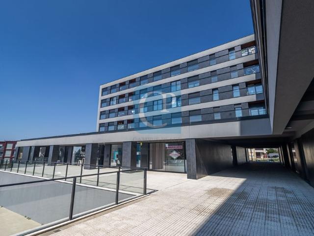 Apartamento alugar em Porto, Cedofeita