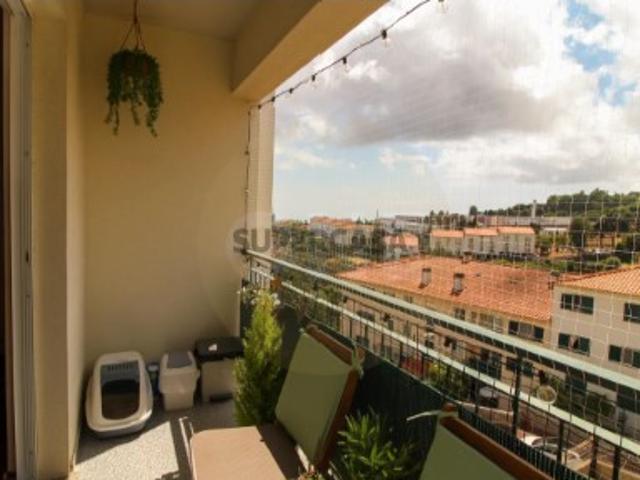 Casa venda em Azenha, Santa Cruz