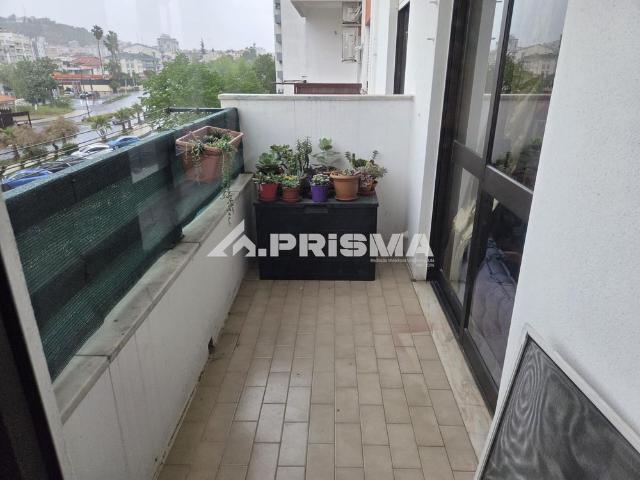 Apartamento alugar em Açores, Castelo Branco