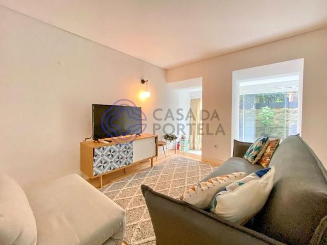 Apartamento alugar em Porto, Cedofeita