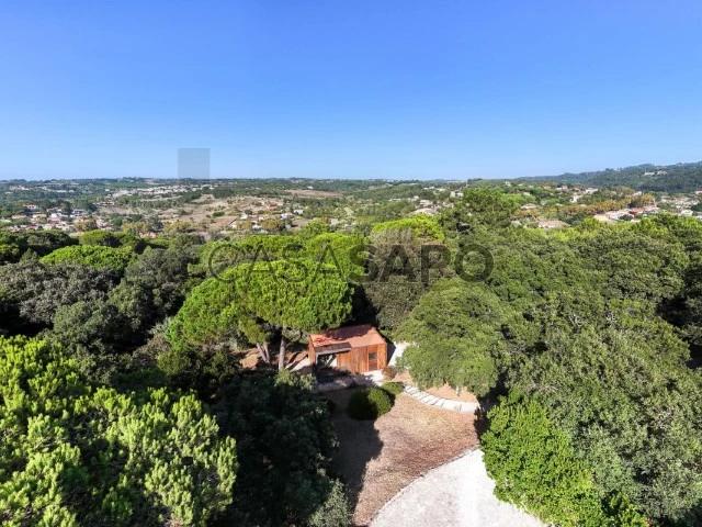 Apartamento alugar em Sintra, Lisboa