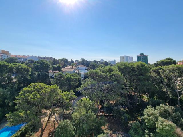 Apartamento alugar em Bairro do Rosário, Cascais