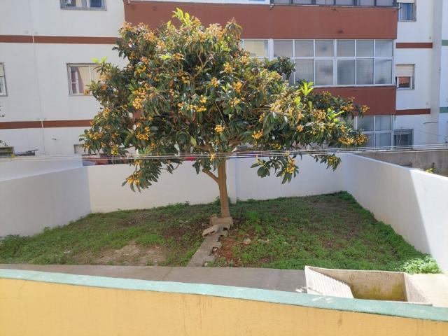 Apartamento alugar em Caldas Da Rainha, Leiria