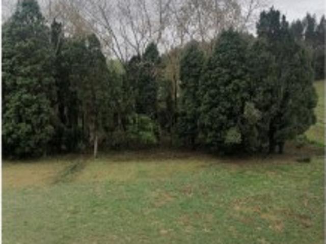 Casa venda em Oliveira Do Bairro, Quinta do Cavaleiro