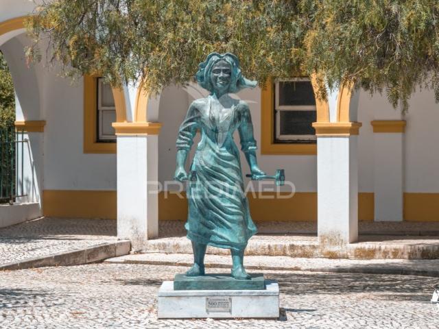 Apartamento venda em Ferreira Do Alentejo, Bairro do Império
