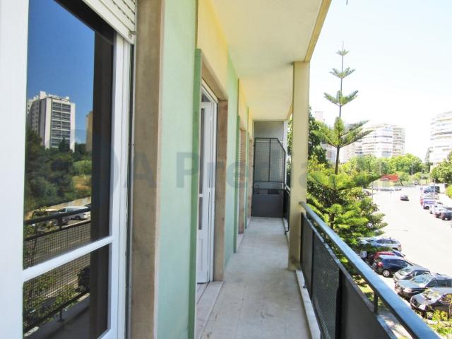 Apartamento alugar em São Francisco Xavier, Lisboa