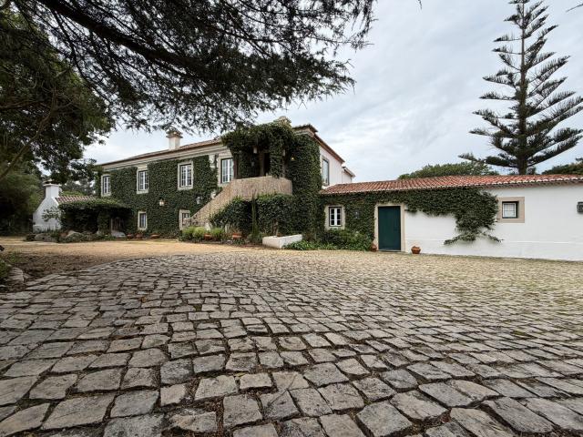 Apartamento alugar em Quinta de São Martinho, Cascais