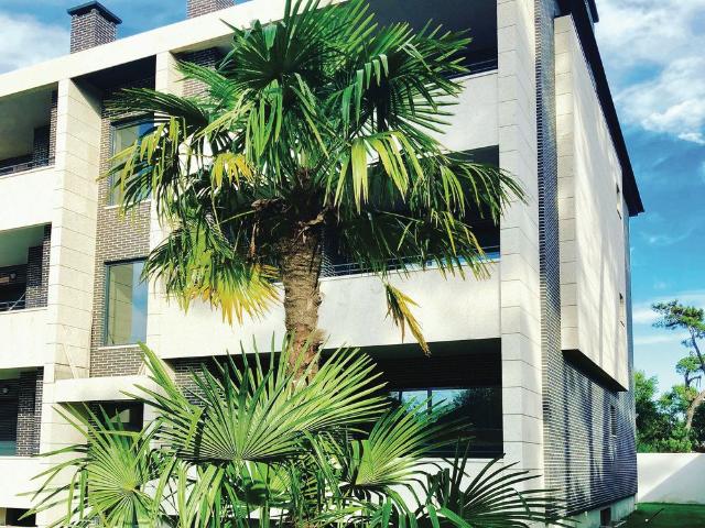 Apartamento alugar em Esposende, Braga