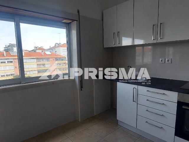 Apartamento alugar em Castelo Branco