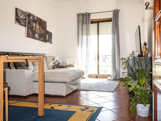 Apartamento venda em Castelo Branco