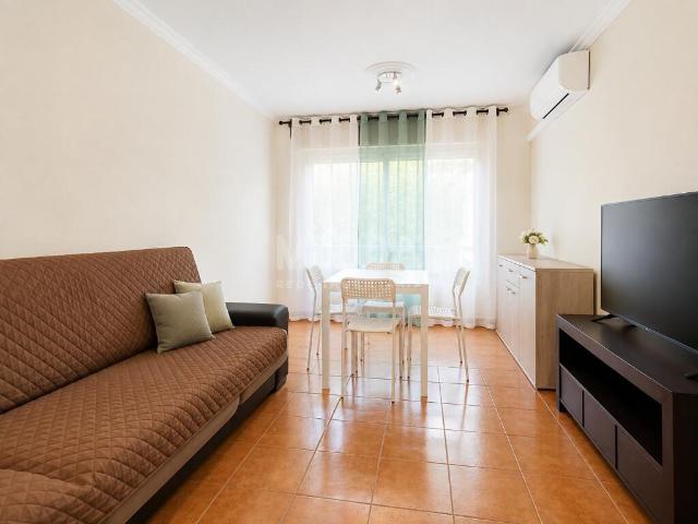 Apartamento venda em Chaves, Vila Real