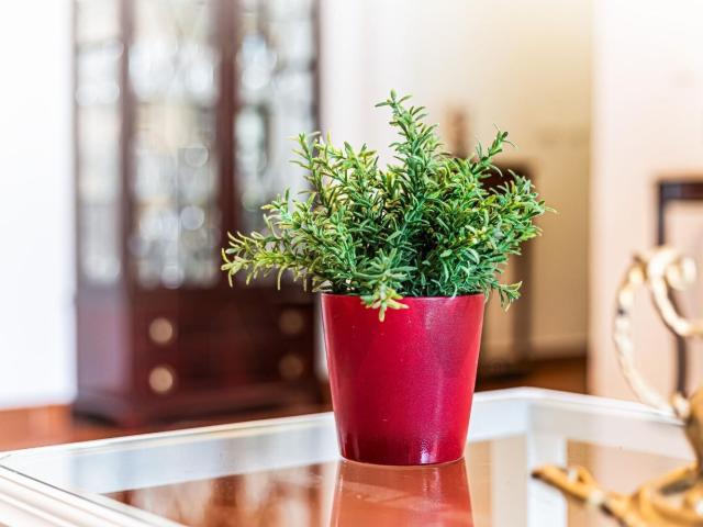 Apartamento venda em Alcantarilha, Faro