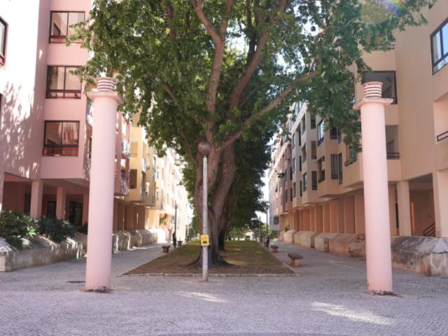 Apartamento alugar em Visconde da Luz, Cascais