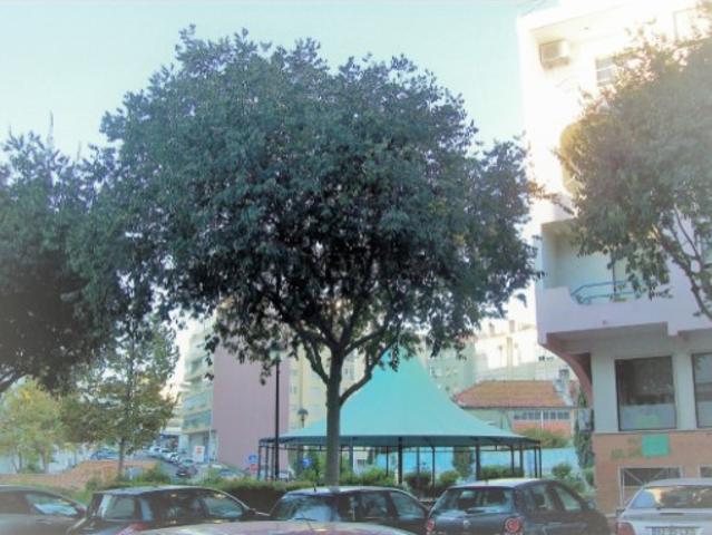 Casa venda em Damaia, Amadora