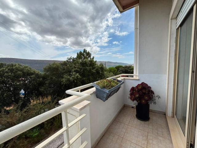 Apartamento venda em Alcanena, Santarém