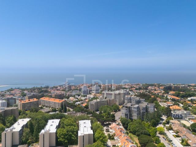 Apartamento alugar em Porto, Aldoar