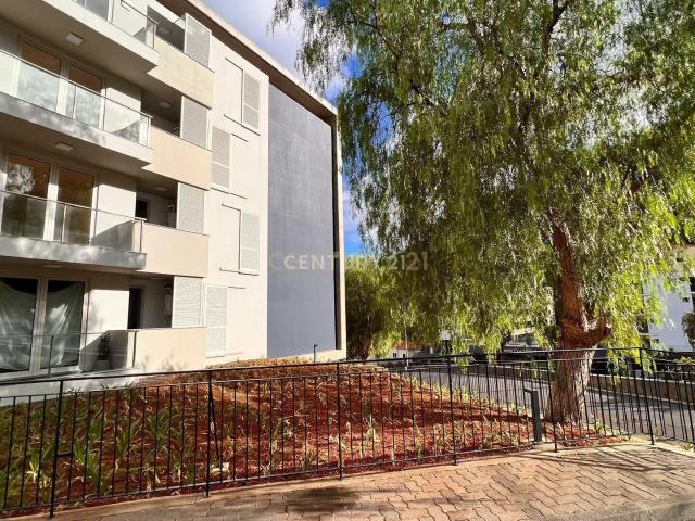 Apartamento alugar em Santa Cruz