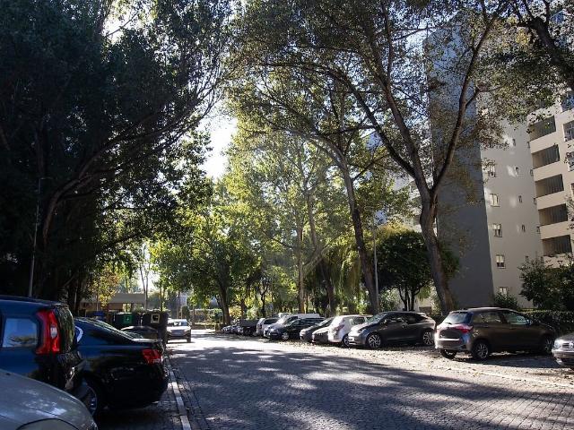 Apartamento alugar em Cidade Cooperativa da Prelada, Porto