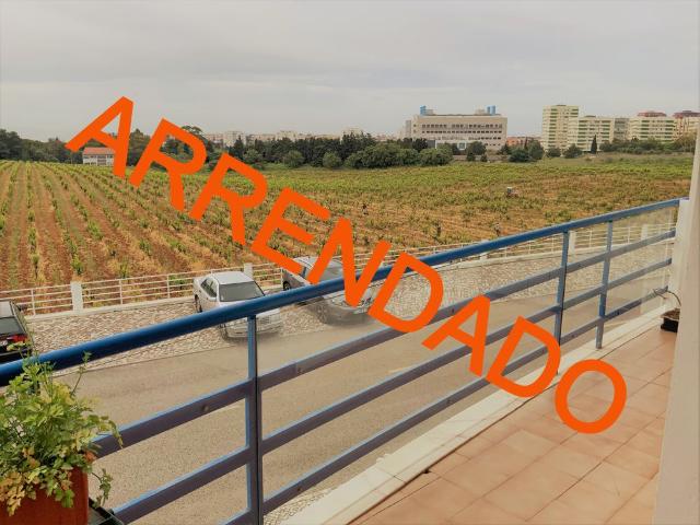 Apartamento alugar em Cascais, Lisboa