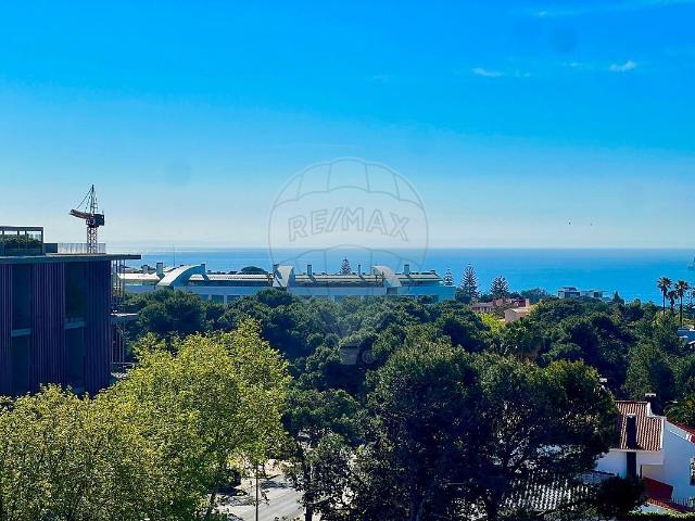 Apartamento venda em Torre do Pinhal, Cascais