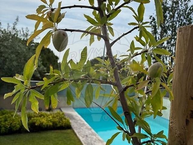 Apartamento alugar em Parque das Nações, Lisboa